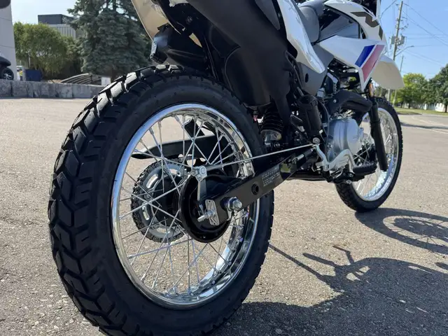 2025 Honda XR150L Standard in Street, Cruisers & Choppers in Kitchener / Waterloo - Image 15