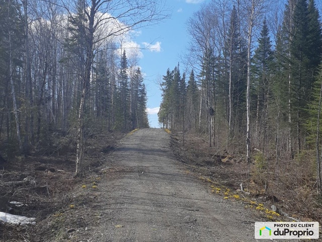 $130,000 - Residential Lot for sale in Lac-Des-Aigles — photo 1