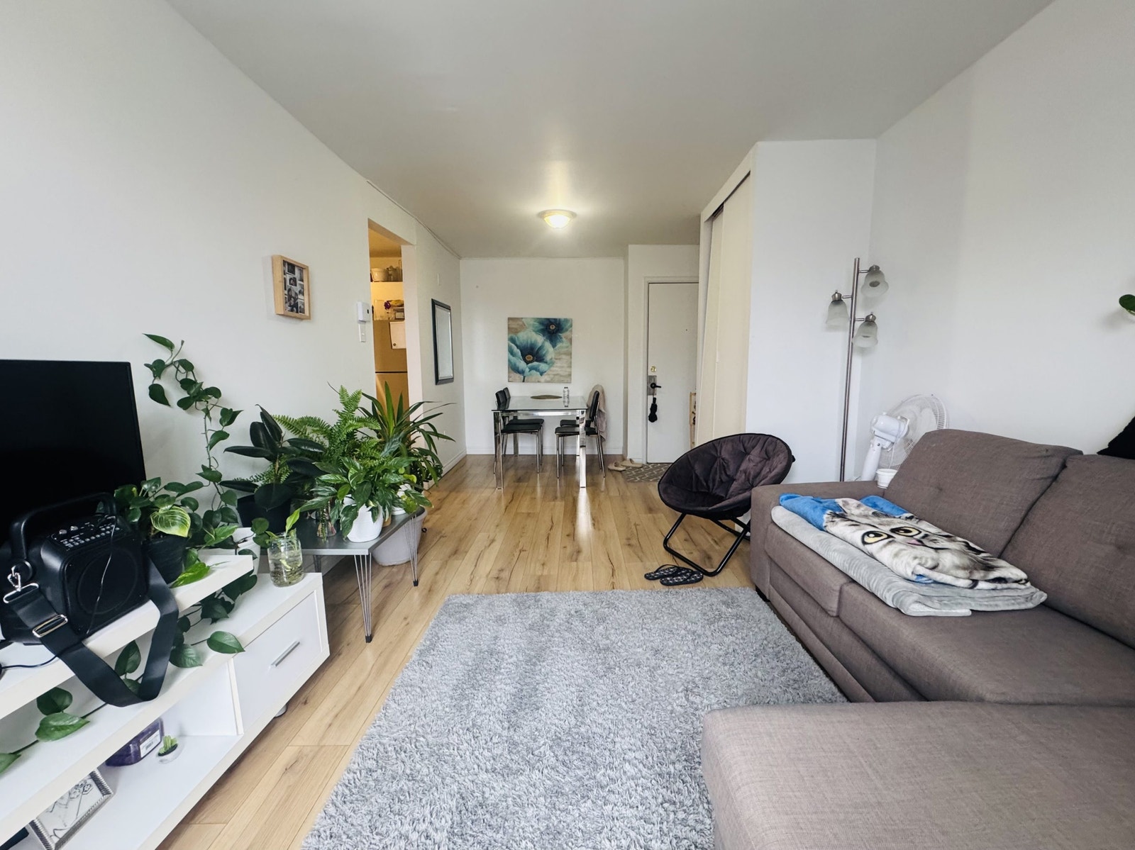 55 Rue Carmichaël — photo 2