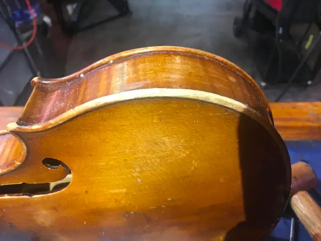 Violin, cello and string instrument Luthier5502229025292390415