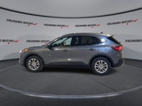 // ACCIDENT FREE!! // Meet the 2022 Ford Escape SE FWD, a smart, practical SUV that fits life in Cay... (image 4)