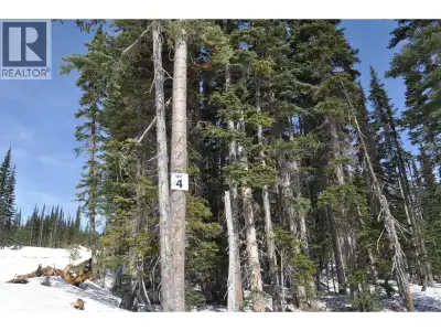 Live on Hudson Bay Mountain and ski to and from your door! The Estates is Smithers' modern mountain...