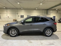 // ACCIDENT FREE!! // Meet the 2022 Ford Escape SE FWD, a smart, practical SUV that fits life in Cay... (image 9)