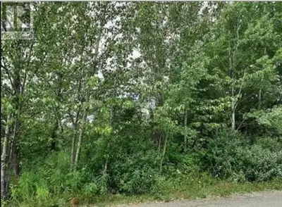Great building lot at a price you can afford. Please confirm all measurements before purchase. All o...