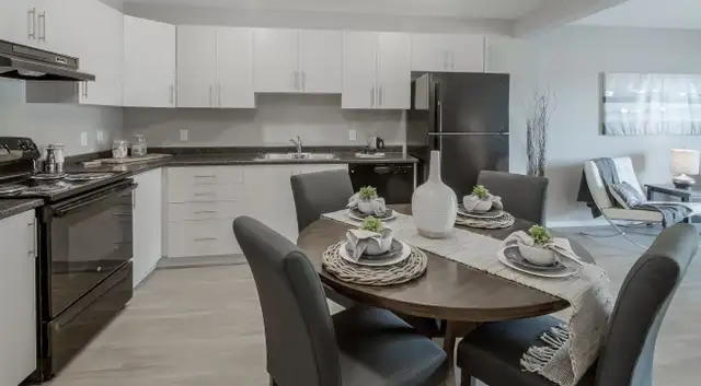 Pet-Friendly One Bedroom One Bath with In-suite Laundry for Rent in Long Term Rentals in Penticton - Image 5