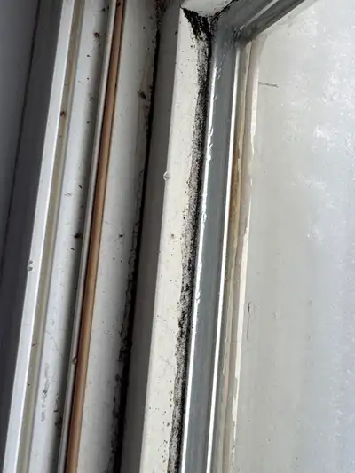 Windows cleaning; regular,  deep, move in/out  cleaning/, View more