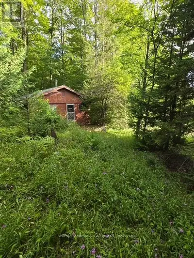 Beautiful 52 acre property waiting for you!! Great location east of Scone, just east of Grey rd. #3....
