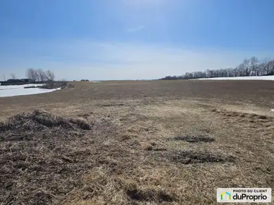Terre agricole à vendre 40 acres en culture avec une plantation d'épinette de Norvège d'environ 12 a...