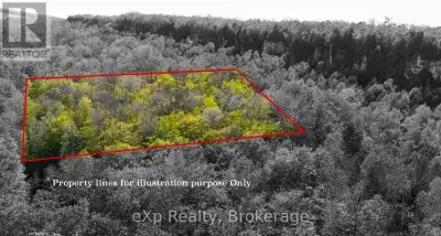Exceptional value awaits with this unique opportunity to own three amalgamated lots as one expansive...