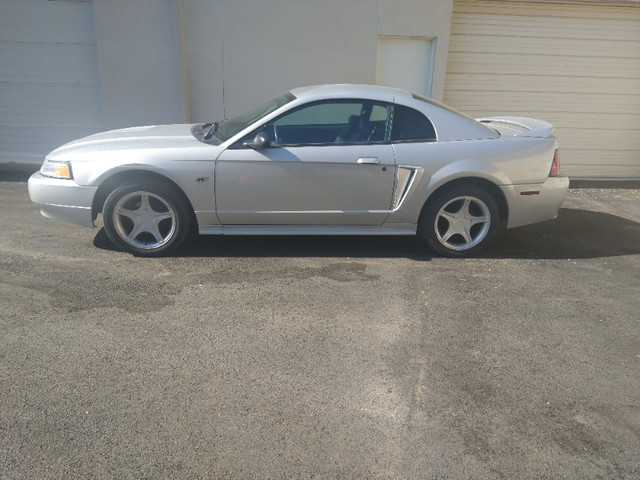 2000 Mustang GT -  4.6 Litre, Auto - Leather in Cars & Trucks in Oakville / Halton Region - Image 2