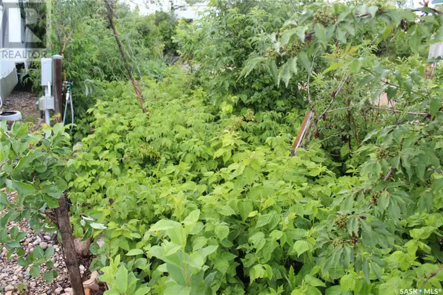 102 Enchanted Loop Deep Woods RV Campground Wakaw Lake, Saskatch in Land for Sale in Saskatoon - Image 31