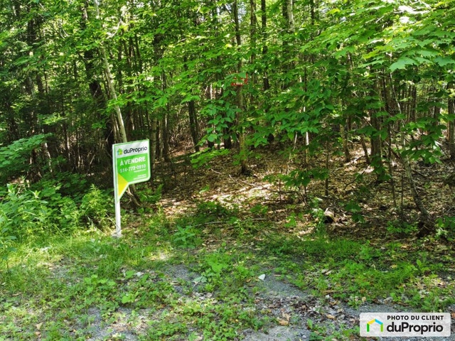 $225,000 - Price taxes included - Residential Lot in St-Sauveur — photo 3