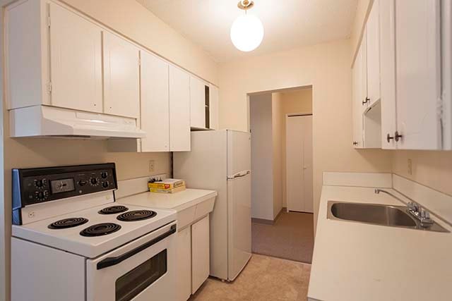 Holly Tree Apartments - 1 Bedroom available at 1116 Hamilton Str 2