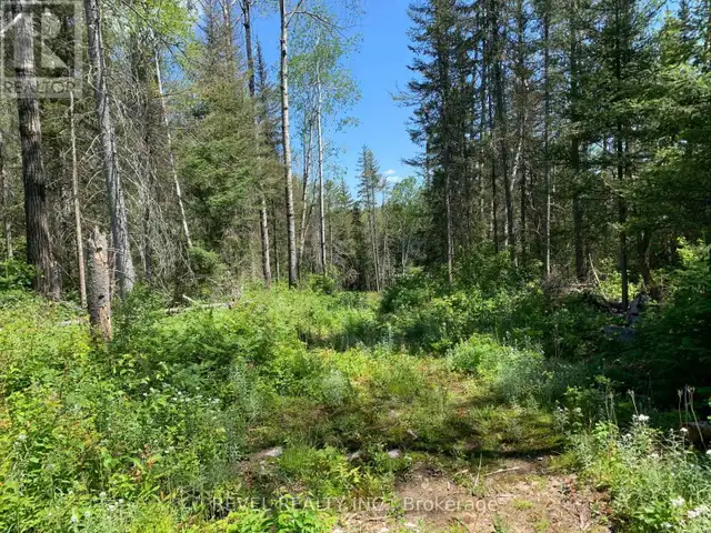 PCL8547 HWY 101 HIGHWAY W Timmins (TCTDAR Outside), Ontario in Land for Sale in Timmins - Image 33