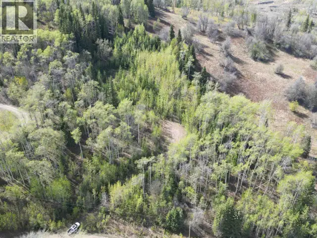 LOT A BALD HILL ROAD Burns Lake, British Columbia in Land for Sale in Burns Lake - Image 11