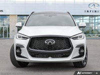 IFS Bonus Sculpted lines, swooping curves and a wide, dynamic stance make this QX50 as fulfilling to... (image 1)