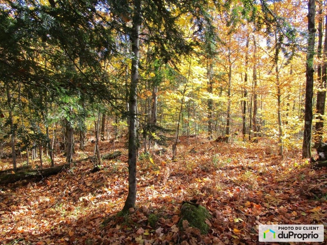 $110,000 - Residential Lot for sale in Harrington — photo 3