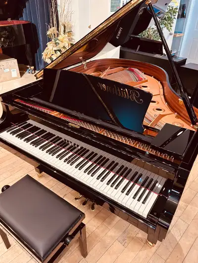 PIANO YAMAHA C2X (2015), View more
