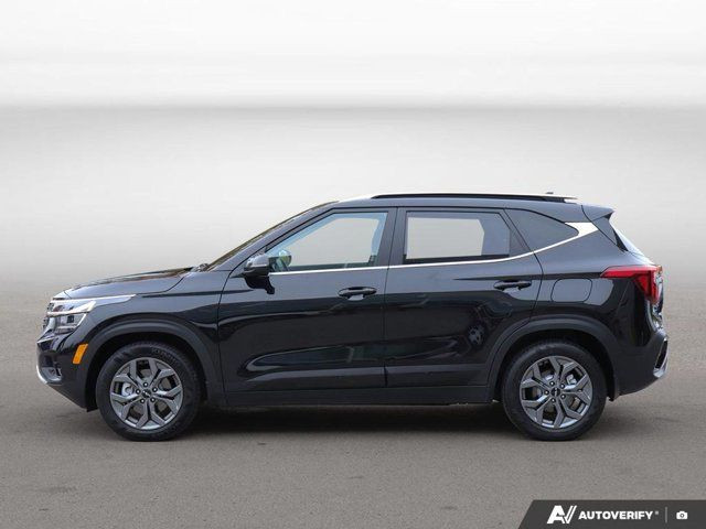 2024 Kia Seltos EX in Cars & Trucks in Hamilton - Image 2