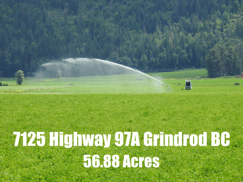 Farmland For Sale Highway 97A Grindrod 56.88 Acres Land for Sale