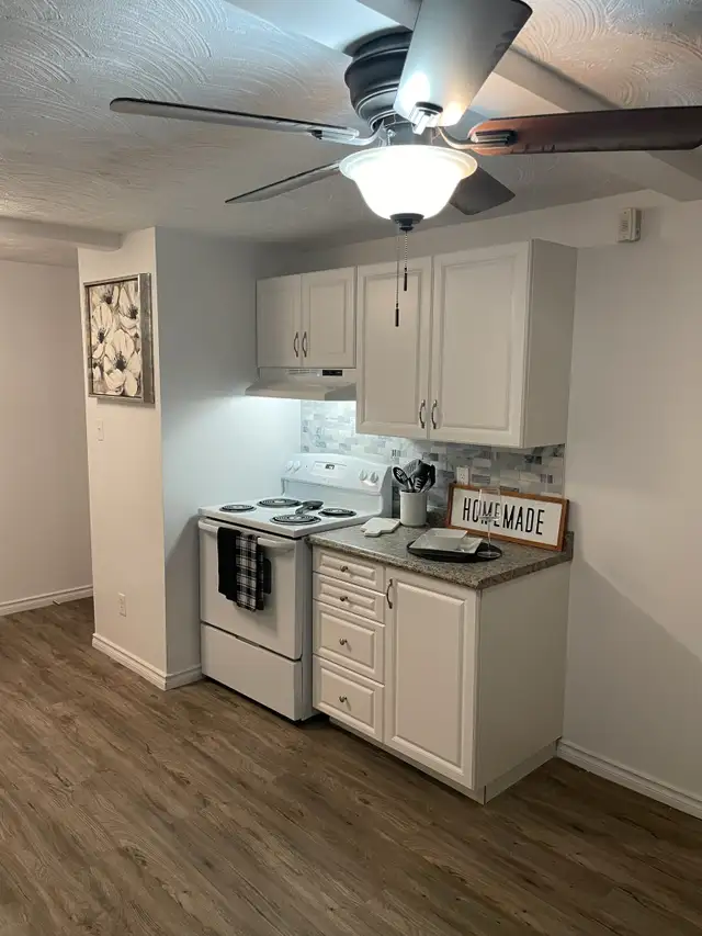 ALL INCLUSIVE - Pinegrove - 1BR Apartment in Waterloo in Long Term Rentals in Kitchener / Waterloo - Image 6