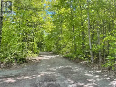 82.97 Acres Property For Sale. Property is located North of Wrenhaven Road on McNevan Drive. This ge...