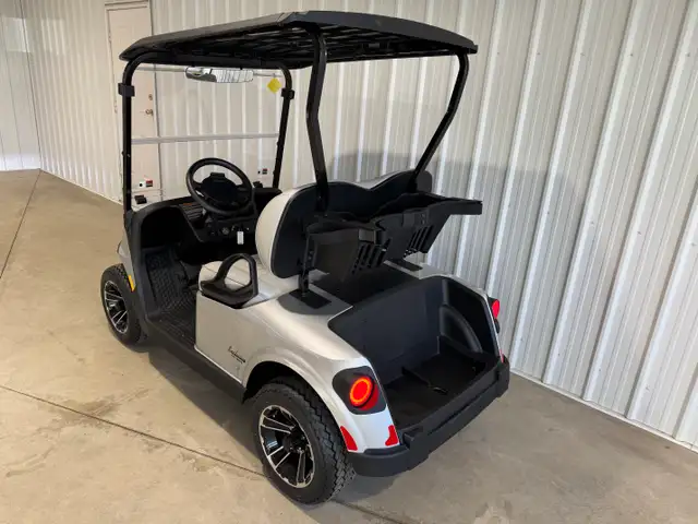 2026 EZGO RXV2 Freedom Platinum in ATVs in Vernon - Image 8
