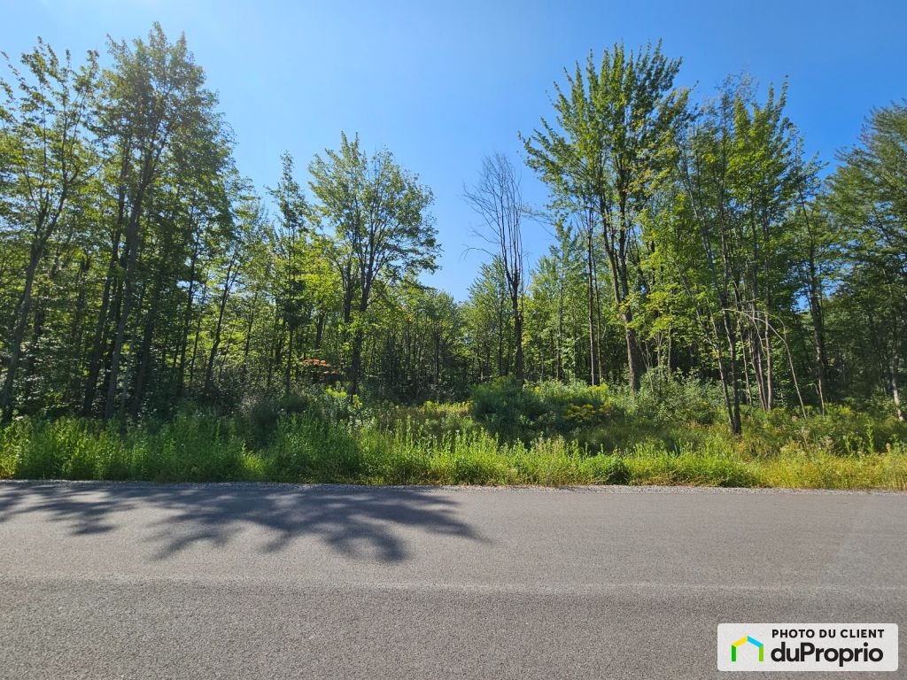 $220,000 - Residential Lot for sale in Granby — photo 3