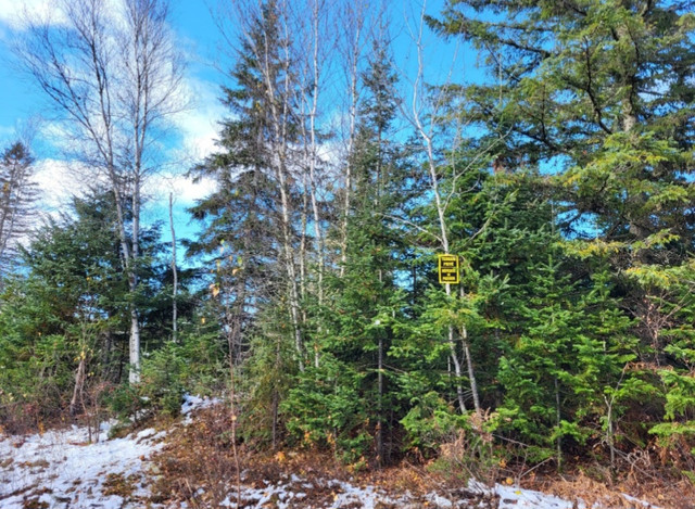 Des Saumons - TERRAIN À VENDRE dans Terrains à vendre  à Lanaudière