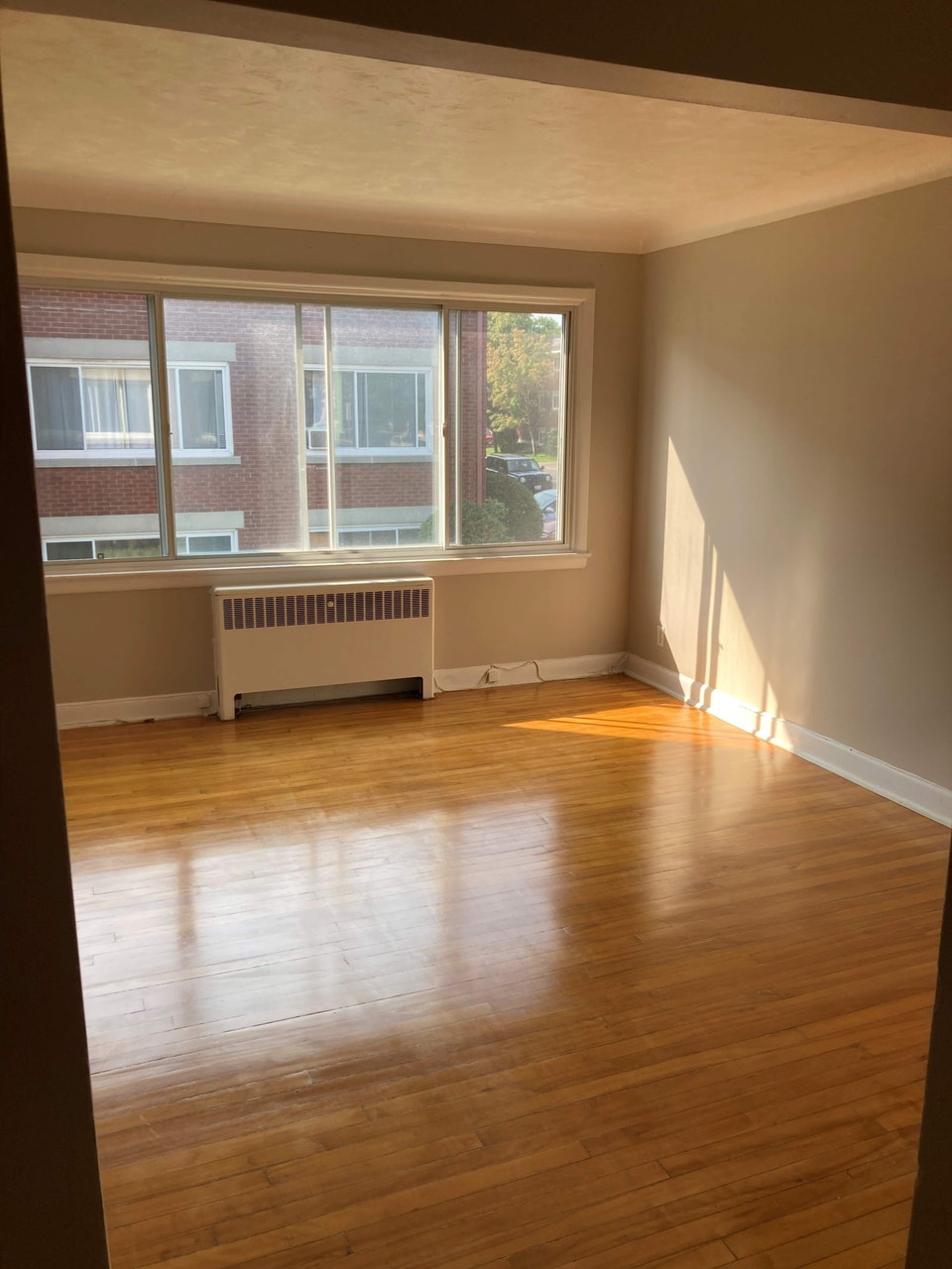 Studio Apartment in Ottawa East (Vanier) 2