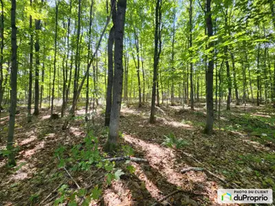 Grand terrain boisé à vendre de 72 558 pieds carrés avec accès à la rivière Matambin. Situé à Saint-...