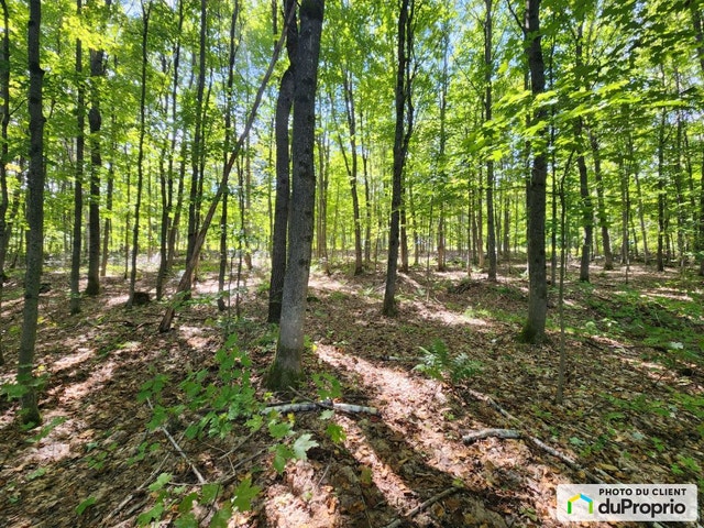 $119,900 - Residential Lot for sale in St-Damien — photo 1