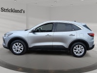 **Strickland's is home of the Hassle-Free car shopping experience. We make car buying fun, find your... (image 4)