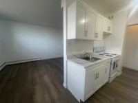 Large Renovated 1 Bedroom - Family Building