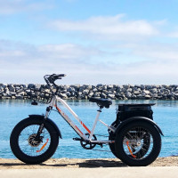 New Meigi Zeus Fat Tire Electric Trike Free Shipping Warranty