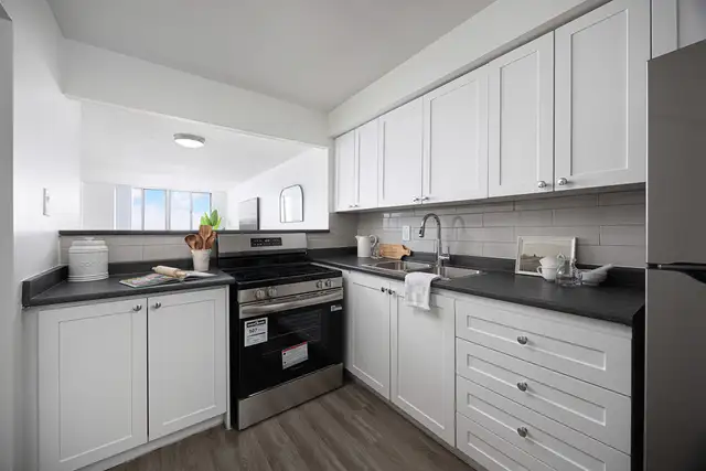 1 Bedroom Apartment for Rent - 440 McMurchy Avenue South in Long Term Rentals in Mississauga / Peel Region - Image 5