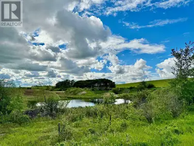 For additional information, please click on Brochure button below. NE and SE 9-38-3W4. 320 acres. De...