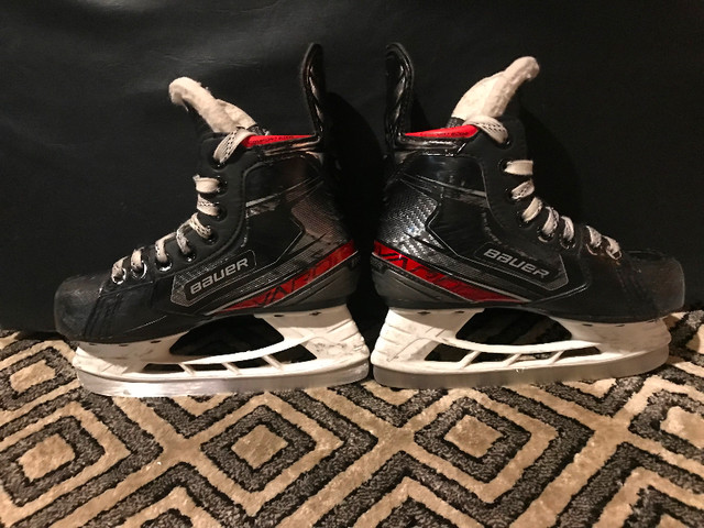 Bauer vapour 2x skates in Skates & Blades in Hamilton