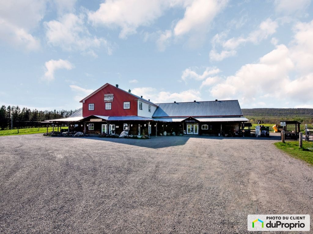 $3,125,000 - Farm for sale in St-Augustin-De-Desmaures — photo 1
