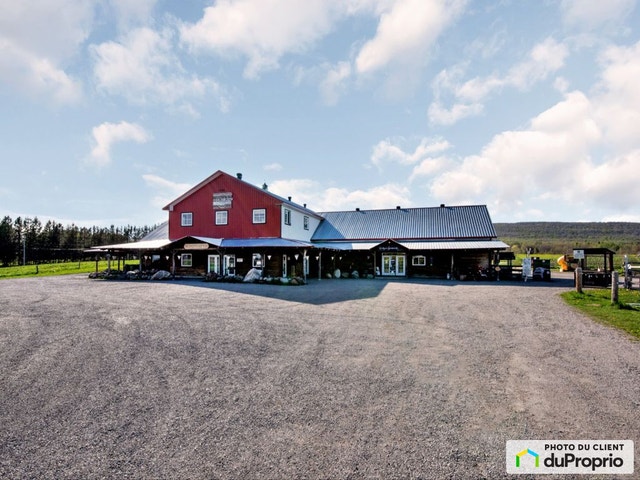 $3,125,000 - Farm for sale in St-Augustin-De-Desmaures — photo 1