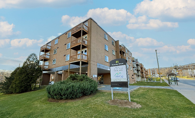 Primrose Street - 1 Bedroom 1 Bath Apartment for Rent in Long Term Rentals in Dartmouth - Image 3