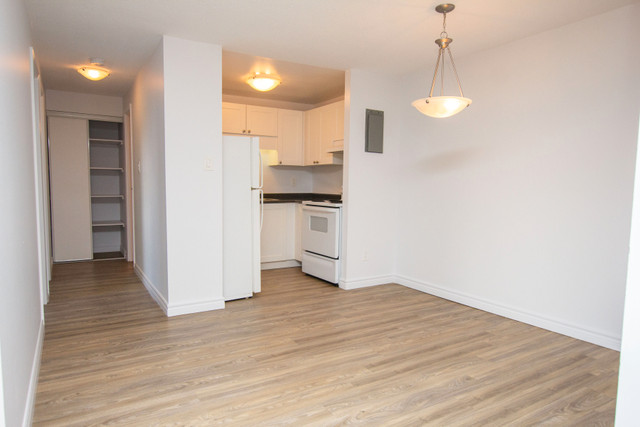 Cedar Street & St. Andrews St. - 1 month rent FREE! Call Now! in Long Term Rentals in Cambridge - Image 3