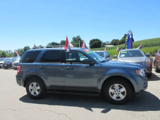 2011 Ford Escape XLT566535319171911684