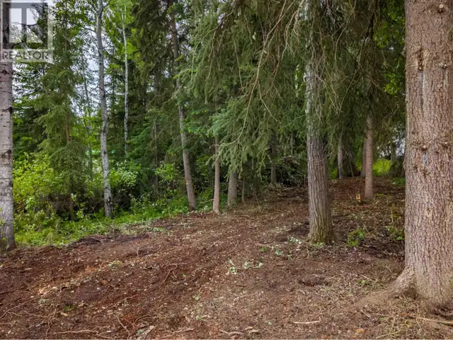 LOT 81 MULLIGAN DRIVE Horse Lake, British Columbia in Land for Sale in 100 Mile House - Image 15