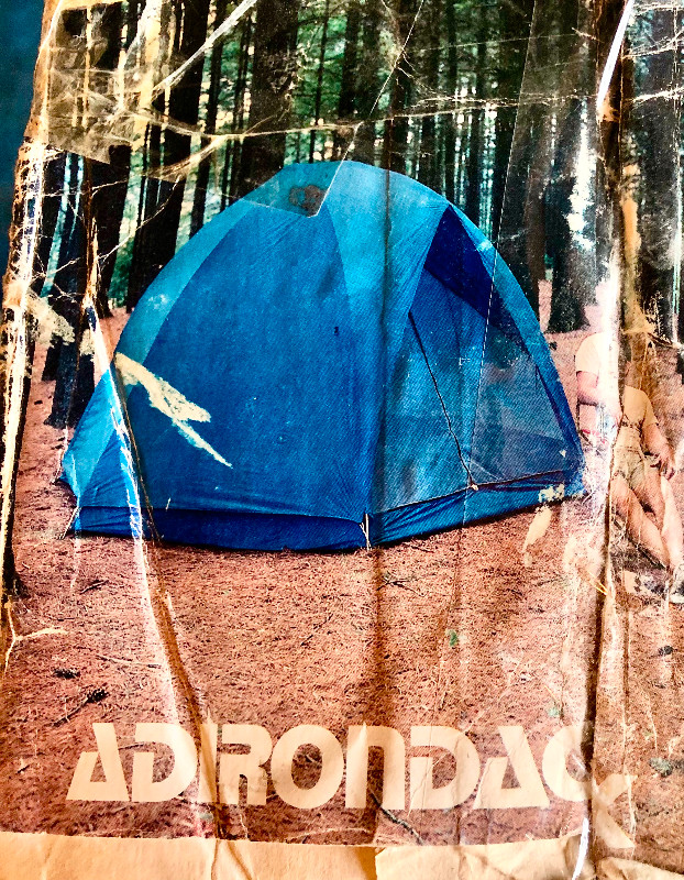 Woodland Series hexagonal dome tent in Other in Saint John