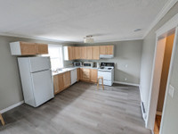 Newly renovated, bright spacious 1-bedroom apartment – Holyrood