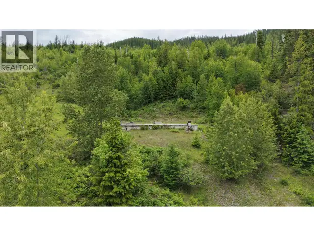 5360 6 Highway Rosebery, British Columbia in Land for Sale in Nelson - Image 12
