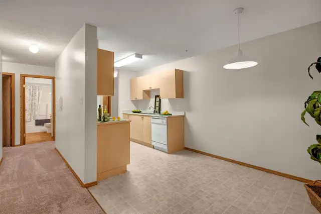 1 Bed x 1 Bath Apartment for Rent on Rollyview Road | $1370.0063008315301505121