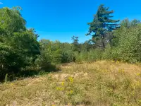 C1 Septic Approved 1.08 Acre Partially Cleared Lot For Sale