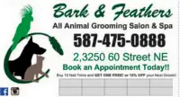 Weekend Appts Available Dog and Cat Grooming